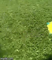 I WILL WHACK YOU WITH MY FLOATIE | image tagged in gifs,baby | made w/ Imgflip video-to-gif maker