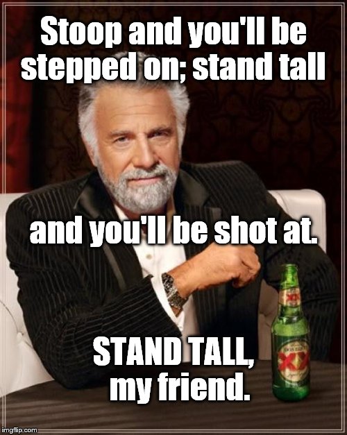 The Most Interesting Man In The World quotes Carlos Urbizo Solis.



 | Stoop and you'll be stepped on; stand tall; and you'll be shot at. STAND TALL,  my friend. | image tagged in the most interesting man in the world,stand tall my friend,carlos urbizo sols | made w/ Imgflip meme maker