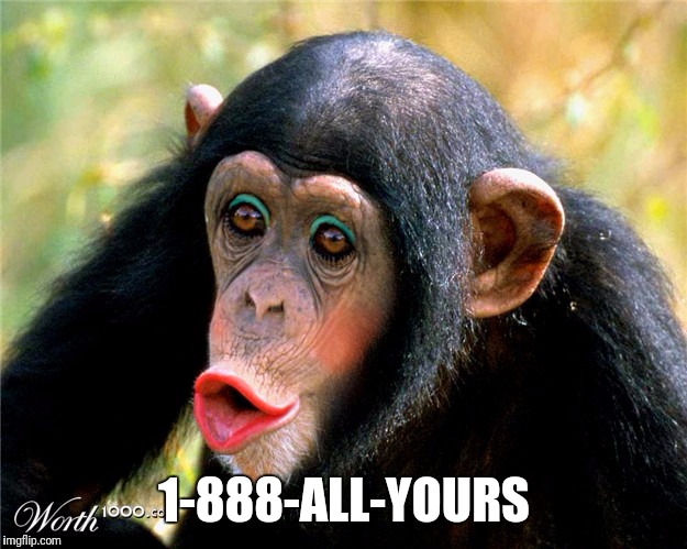 1-888-ALL-YOURS | made w/ Imgflip meme maker
