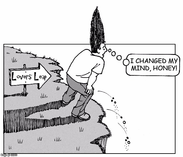 OOPS! | I CHANGED MY MIND, HONEY! | image tagged in vince vance,lovers leap,change of heart,comics/cartoons | made w/ Imgflip meme maker