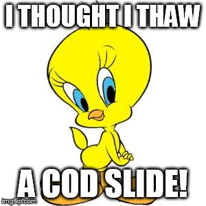 Tweety | I THOUGHT I THAW; A COD SLIDE! | image tagged in tweety | made w/ Imgflip meme maker