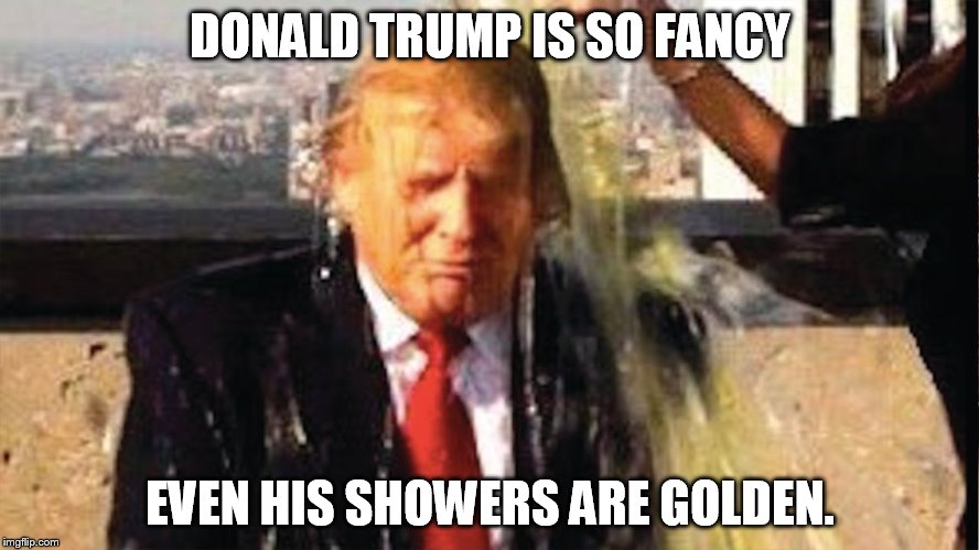 Trump shower | DONALD TRUMP IS SO FANCY; EVEN HIS SHOWERS ARE GOLDEN. | image tagged in trump shower | made w/ Imgflip meme maker