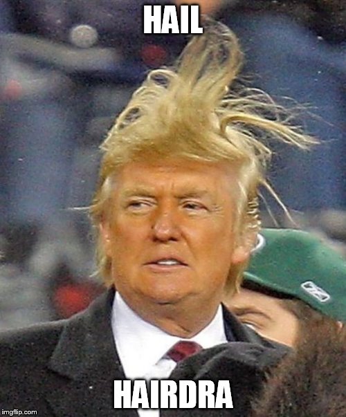 Donald Trumph hair | HAIL; HAIRDRA | image tagged in donald trumph hair | made w/ Imgflip meme maker