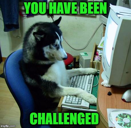 I Have No Idea What I Am Doing | YOU HAVE BEEN; CHALLENGED | image tagged in memes,i have no idea what i am doing | made w/ Imgflip meme maker