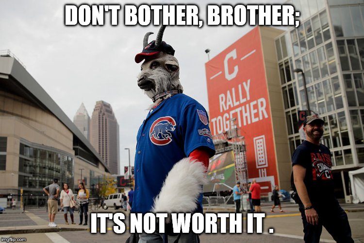 Cubs | DON'T BOTHER, BROTHER; IT'S NOT WORTH IT . | image tagged in cubs | made w/ Imgflip meme maker