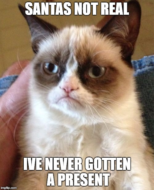 Grumpy Cat Meme | SANTAS NOT REAL; IVE NEVER GOTTEN A PRESENT | image tagged in memes,grumpy cat | made w/ Imgflip meme maker