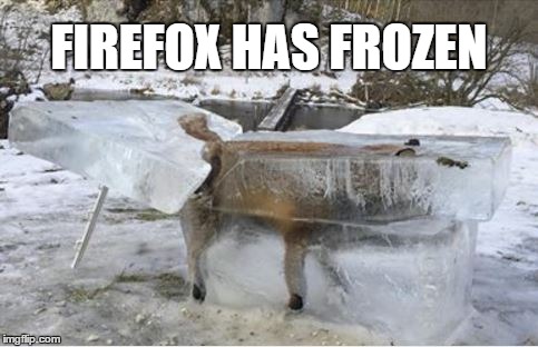 Firefox Has Frozen | FIREFOX HAS FROZEN | image tagged in firefox,frozen,ice cub | made w/ Imgflip meme maker