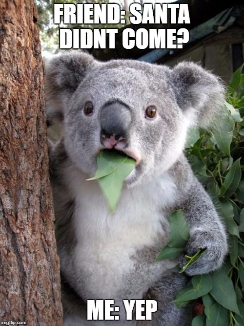 Surprised Koala | FRIEND: SANTA DIDNT COME? ME: YEP | image tagged in memes,surprised koala | made w/ Imgflip meme maker