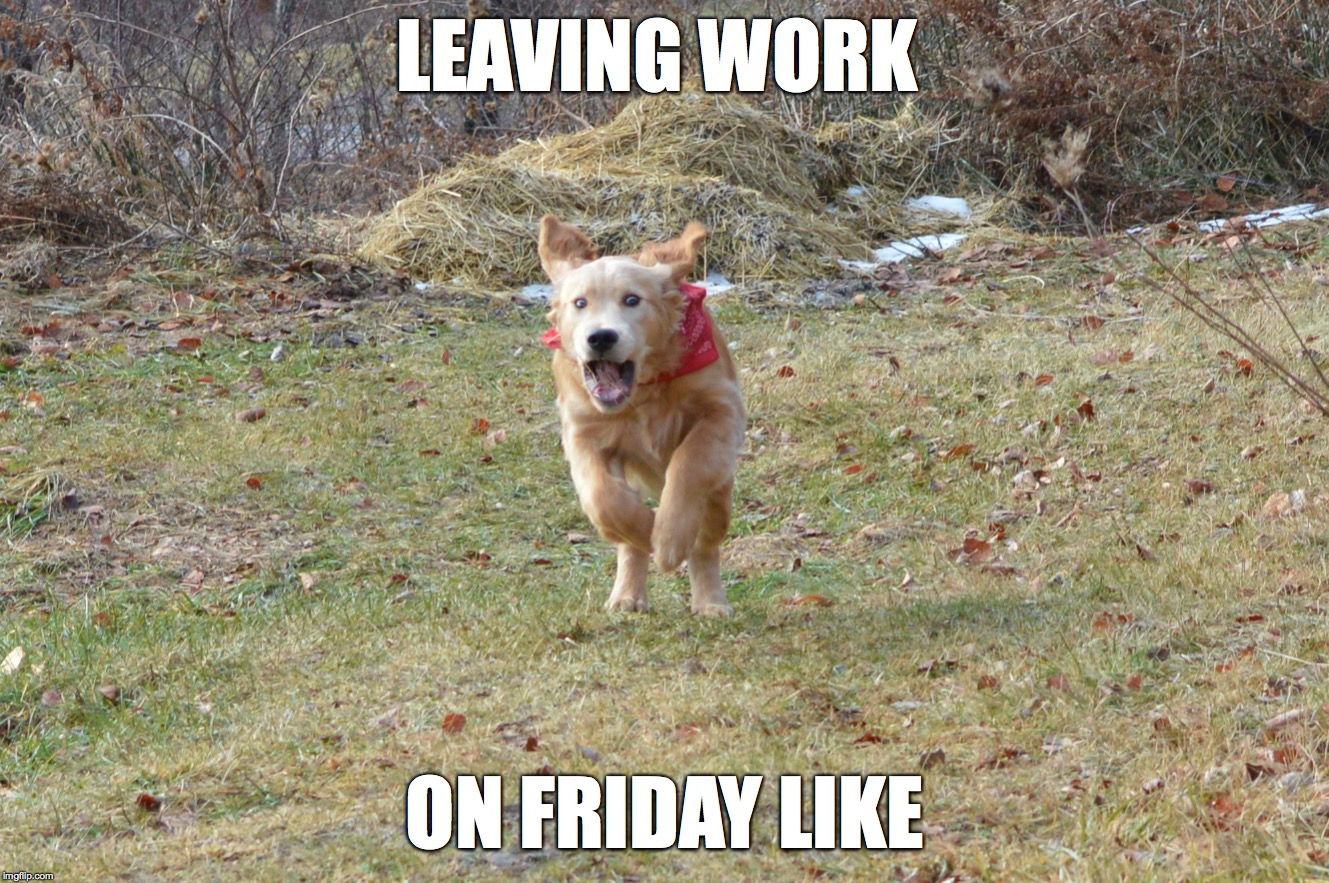 20 Leaving Work On Friday Memes That Are Totally True - vrogue.co