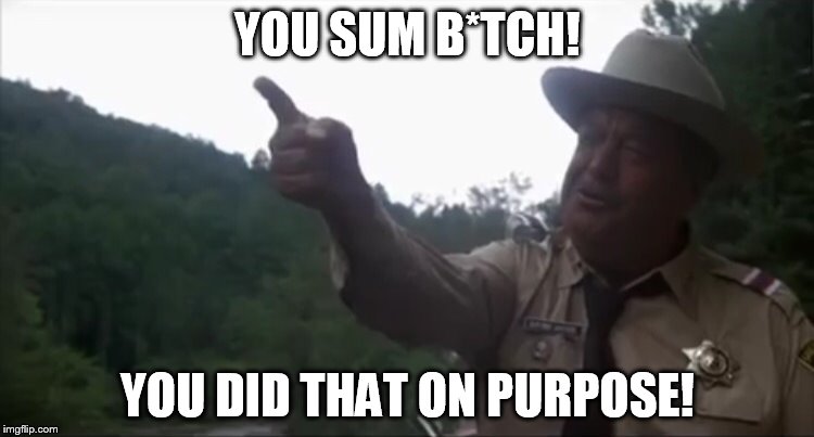 You Did That On Purpose! | YOU SUM B*TCH! YOU DID THAT ON PURPOSE! | image tagged in buford t justice bbq your ass,memes,smokey and the bandit,jackie gleason | made w/ Imgflip meme maker
