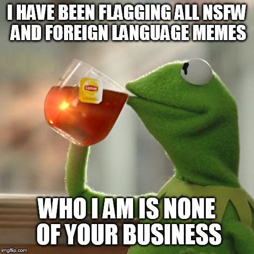 But That's None Of My Business Meme | I HAVE BEEN FLAGGING ALL NSFW AND FOREIGN LANGUAGE MEMES; WHO I AM IS NONE OF YOUR BUSINESS | image tagged in memes,but thats none of my business,kermit the frog | made w/ Imgflip meme maker