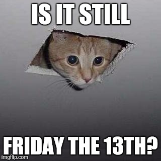 Friday the 13th  | IS IT STILL; FRIDAY THE 13TH? | image tagged in memes,ceiling cat | made w/ Imgflip meme maker