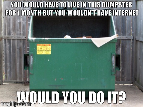 YOU WOULD HAVE TO LIVE IN THIS DUMPSTER FOR 1 MONTH BUT YOU WOULDN'T HAVE INTERNET; WOULD YOU DO IT? | image tagged in house,internet | made w/ Imgflip meme maker