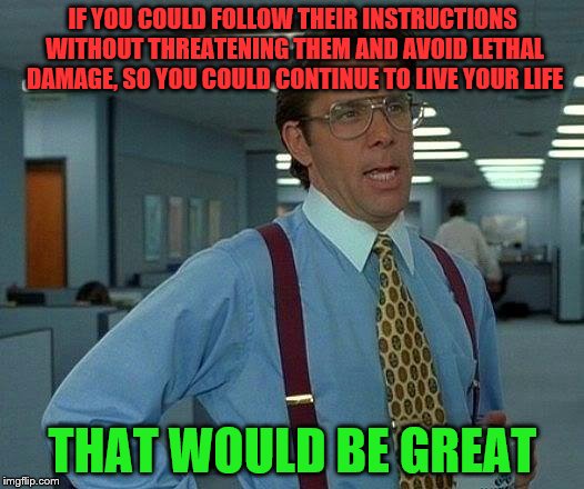 That Would Be Great Meme | IF YOU COULD FOLLOW THEIR INSTRUCTIONS WITHOUT THREATENING THEM AND AVOID LETHAL DAMAGE, SO YOU COULD CONTINUE TO LIVE YOUR LIFE THAT WOULD  | image tagged in memes,that would be great | made w/ Imgflip meme maker