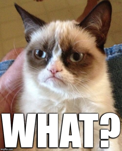 Grumpy Cat Meme | WHAT? | image tagged in memes,grumpy cat | made w/ Imgflip meme maker