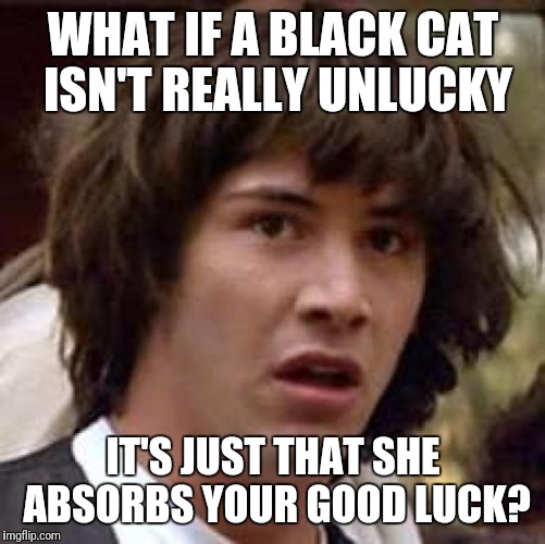 Conspiracy Keanu Meme | WHAT IF A BLACK CAT ISN'T REALLY UNLUCKY IT'S JUST THAT SHE ABSORBS YOUR GOOD LUCK? | image tagged in memes,conspiracy keanu | made w/ Imgflip meme maker