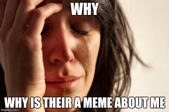 First World Problems | WHY; WHY IS THEIR A MEME ABOUT ME | image tagged in memes,first world problems | made w/ Imgflip meme maker