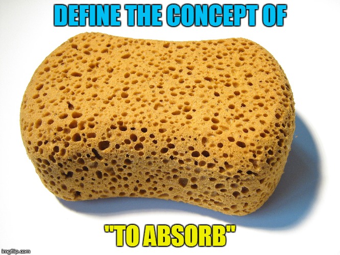 DEFINE THE CONCEPT OF "TO ABSORB" | made w/ Imgflip meme maker