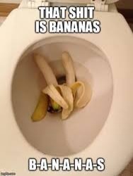 image tagged in bananas | made w/ Imgflip meme maker
