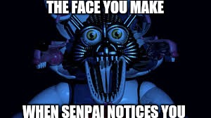 Funtime foxy jumpscare fnaf sister location | THE FACE YOU MAKE; WHEN SENPAI NOTICES YOU | image tagged in funtime foxy jumpscare fnaf sister location | made w/ Imgflip meme maker