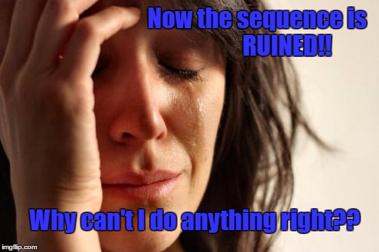 First World Problems Meme | Now the sequence is                      RUINED!! Why can't I do anything right?? | image tagged in memes,first world problems | made w/ Imgflip meme maker