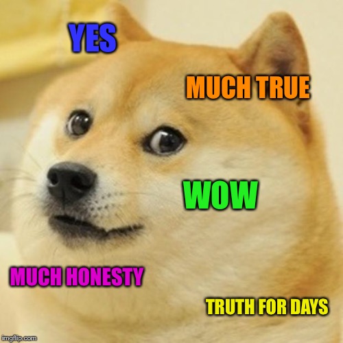 Doge Meme | YES MUCH TRUE WOW MUCH HONESTY TRUTH FOR DAYS | image tagged in memes,doge | made w/ Imgflip meme maker