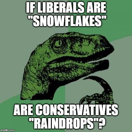 Philosoraptor | IF LIBERALS ARE "SNOWFLAKES"; ARE CONSERVATIVES "RAINDROPS"? | image tagged in memes,philosoraptor,snowflakes,raindrops,conservatives,liberals | made w/ Imgflip meme maker