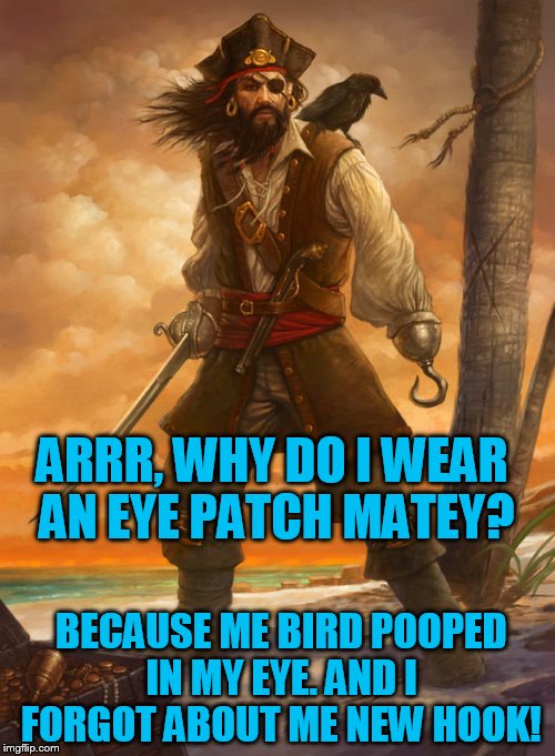 Deviant Art week!  | ARRR, WHY DO I WEAR AN EYE PATCH MATEY? BECAUSE ME BIRD POOPED IN MY EYE. AND I FORGOT ABOUT ME NEW HOOK! | image tagged in pirate,pirates,deviantart,deviantart week | made w/ Imgflip meme maker