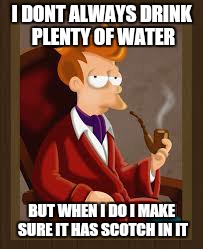 I DONT ALWAYS DRINK PLENTY OF WATER BUT WHEN I DO I MAKE SURE IT HAS SCOTCH IN IT | made w/ Imgflip meme maker