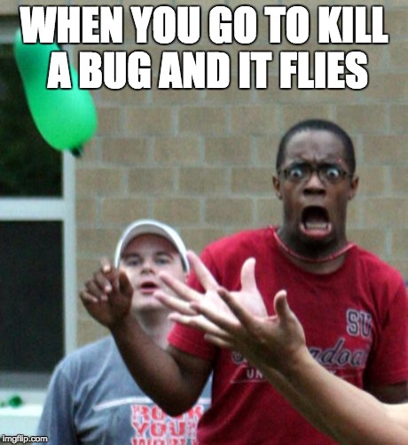Oh HELL NO | WHEN YOU GO TO KILL A BUG AND IT FLIES | image tagged in freak out,memes,funny memes,funny | made w/ Imgflip meme maker