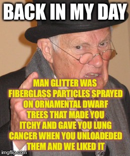 Back In My Day Meme | BACK IN MY DAY MAN GLITTER WAS FIBERGLASS PARTICLES SPRAYED ON ORNAMENTAL DWARF TREES THAT MADE YOU ITCHY AND GAVE YOU LUNG CANCER WHEN YOU  | image tagged in memes,back in my day | made w/ Imgflip meme maker