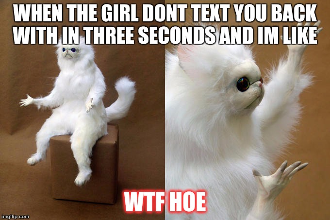 Persian Cat Room Guardian | WHEN THE GIRL DONT TEXT YOU BACK WITH IN THREE SECONDS AND IM LIKE; WTF HOE | image tagged in memes,persian cat room guardian | made w/ Imgflip meme maker