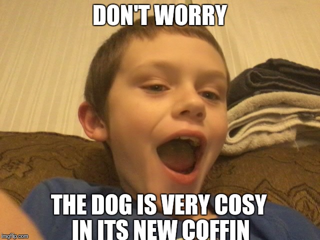 Dead Inside Kid | DON'T WORRY; THE DOG IS VERY COSY IN ITS NEW COFFIN | image tagged in funny memes | made w/ Imgflip meme maker