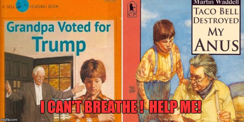 I CAN'T BREATHE !  HELP ME! | image tagged in memes,funny book titles | made w/ Imgflip meme maker