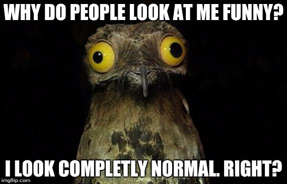 Weird Stuff I Do Potoo | WHY DO PEOPLE LOOK AT ME FUNNY? I LOOK COMPLETLY NORMAL. RIGHT? | image tagged in memes,weird stuff i do potoo | made w/ Imgflip meme maker