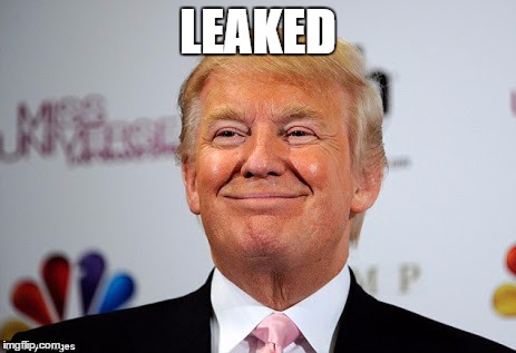 Donald trump approves | LEAKED | image tagged in donald trump approves | made w/ Imgflip meme maker