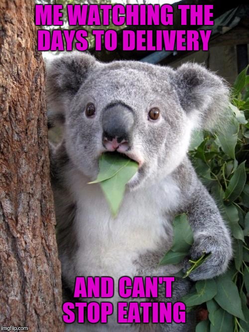 Surprised Koala | ME WATCHING THE DAYS TO DELIVERY; AND CAN'T STOP EATING | image tagged in memes,surprised koala | made w/ Imgflip meme maker
