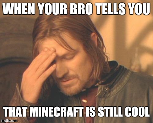 Frustrated Boromir Meme | WHEN YOUR BRO TELLS YOU; THAT MINECRAFT IS STILL COOL | image tagged in memes,frustrated boromir | made w/ Imgflip meme maker