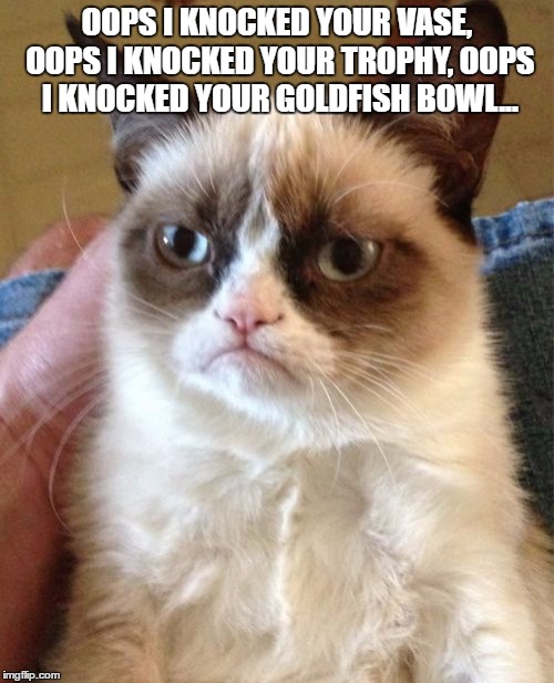 Grumpy Cat Meme | OOPS I KNOCKED YOUR VASE, OOPS I KNOCKED YOUR TROPHY, OOPS I KNOCKED YOUR GOLDFISH BOWL... | image tagged in memes,grumpy cat | made w/ Imgflip meme maker