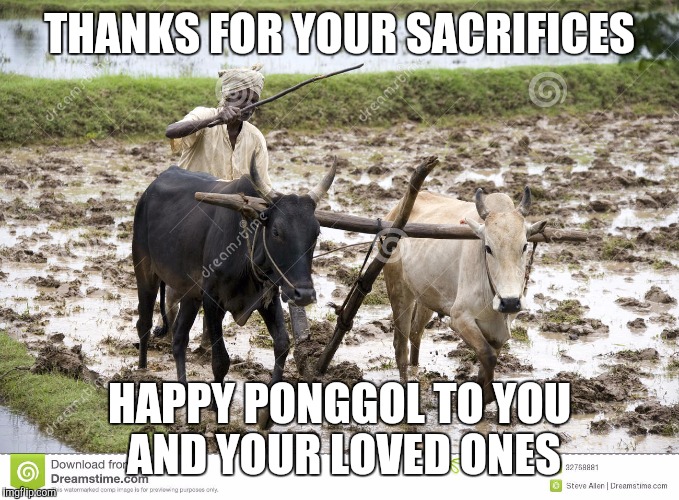 A farmers sacrifice  | THANKS FOR YOUR SACRIFICES; HAPPY PONGGOL TO YOU AND YOUR LOVED ONES | image tagged in farmer | made w/ Imgflip meme maker