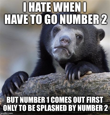 Confession Bear Meme | I HATE WHEN I HAVE TO GO NUMBER 2; BUT NUMBER 1 COMES OUT FIRST ONLY TO BE SPLASHED BY NUMBER 2 | image tagged in memes,confession bear | made w/ Imgflip meme maker