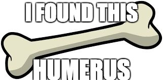 Thanks Legolastwinkletoes for the idea... | I FOUND THIS; HUMERUS | image tagged in humerus,memes,funny,funny memes | made w/ Imgflip meme maker