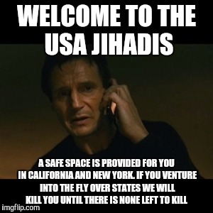 Liam Neeson Taken | WELCOME TO THE USA JIHADIS; A SAFE SPACE IS PROVIDED FOR YOU IN CALIFORNIA AND NEW YORK. IF YOU VENTURE INTO THE FLY OVER STATES WE WILL KILL YOU UNTIL THERE IS NONE LEFT TO KILL | image tagged in memes,liam neeson taken | made w/ Imgflip meme maker