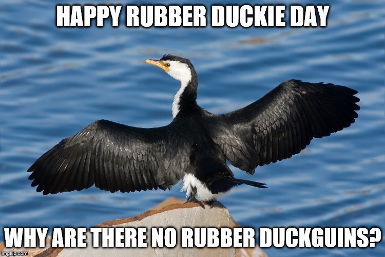 Duckguin | HAPPY RUBBER DUCKIE DAY; WHY ARE THERE NO RUBBER DUCKGUINS? | image tagged in duckguin | made w/ Imgflip meme maker
