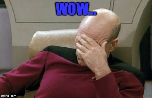 Captain Picard Facepalm Meme | WOW... | image tagged in memes,captain picard facepalm | made w/ Imgflip meme maker