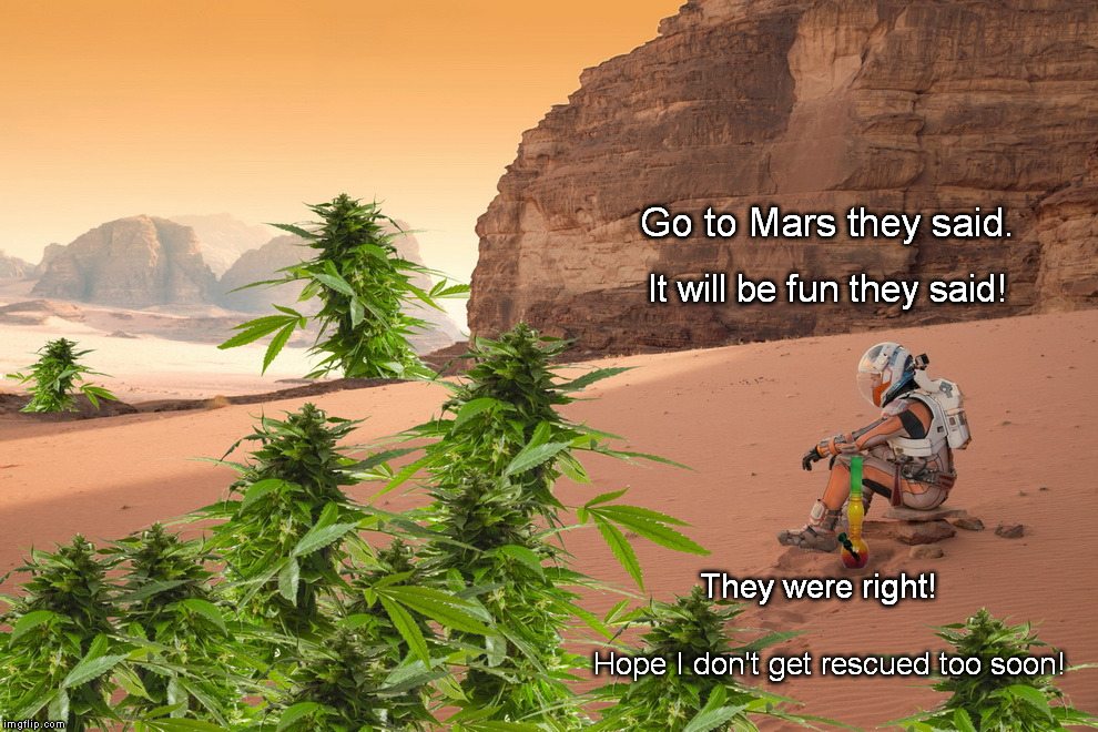 Mars or Bust | Go to Mars they said. It will be fun they said! They were right! Hope I don't get rescued too soon! | image tagged in mars,astronaut,marijuana | made w/ Imgflip meme maker