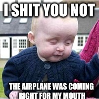 Drunk baby | I SHIT YOU NOT; THE AIRPLANE WAS COMING RIGHT FOR MY MOUTH | image tagged in pie charts,funny,memes,first world problems,the most interesting man in the world,bad luck brian | made w/ Imgflip meme maker
