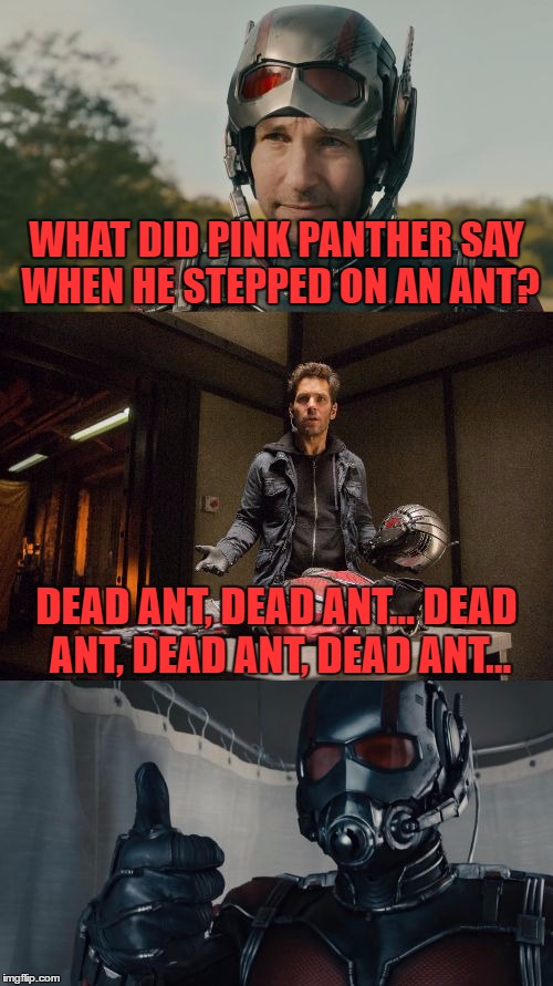 Bad Pun Ant-Man | WHAT DID PINK PANTHER SAY WHEN HE STEPPED ON AN ANT? DEAD ANT, DEAD ANT... DEAD ANT, DEAD ANT, DEAD ANT... | image tagged in bad pun ant-man,memes,bad pun,ant-man,funny,marvel | made w/ Imgflip meme maker
