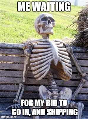 Takes forever. |  ME WAITING; FOR MY BID TO GO IN, AND SHIPPING | image tagged in memes,waiting skeleton,auction | made w/ Imgflip meme maker
