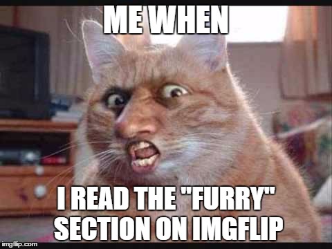 Furry | ME WHEN; I READ THE "FURRY" SECTION ON IMGFLIP | image tagged in furry | made w/ Imgflip meme maker
